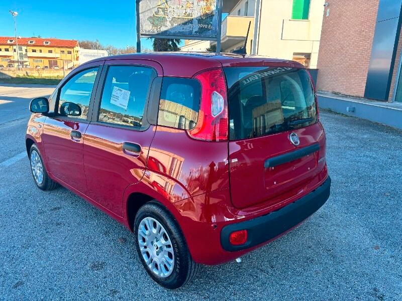 FIAT Panda 3ª serie Panda 1.0 FireFly S&S Hybrid