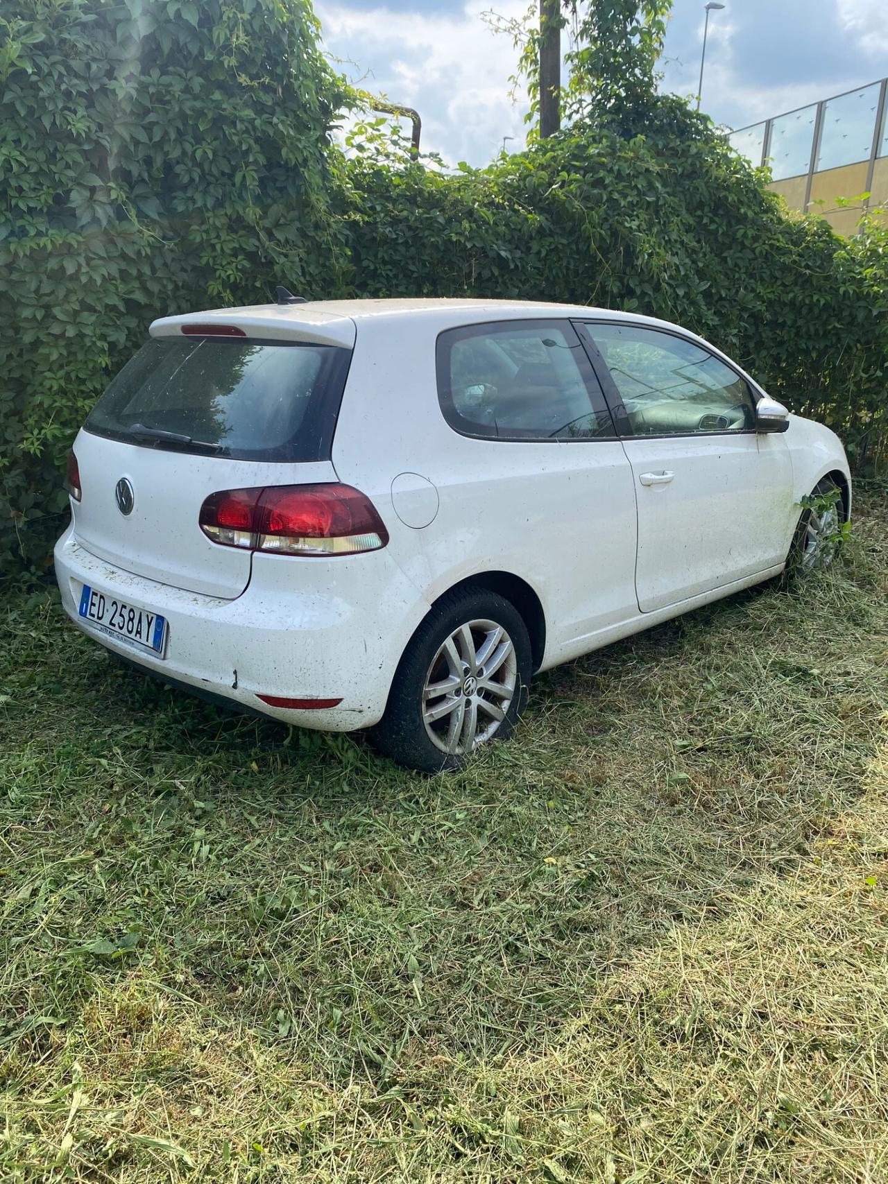 Volkswagen Golf 1.6 TDI DPF 3p. Trendline