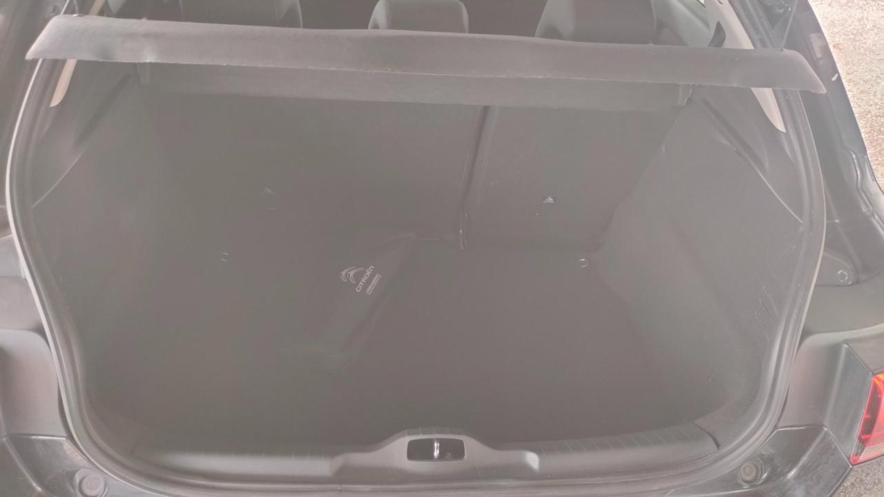 Citroen C4 Cactus 1.6 bluehdi Shine s&s 100cv