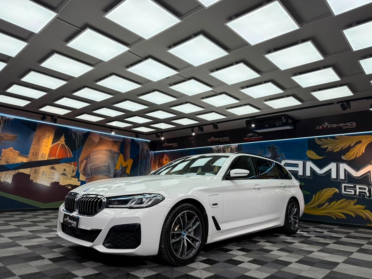 Bmw 530e xDrive Touring Business (648)