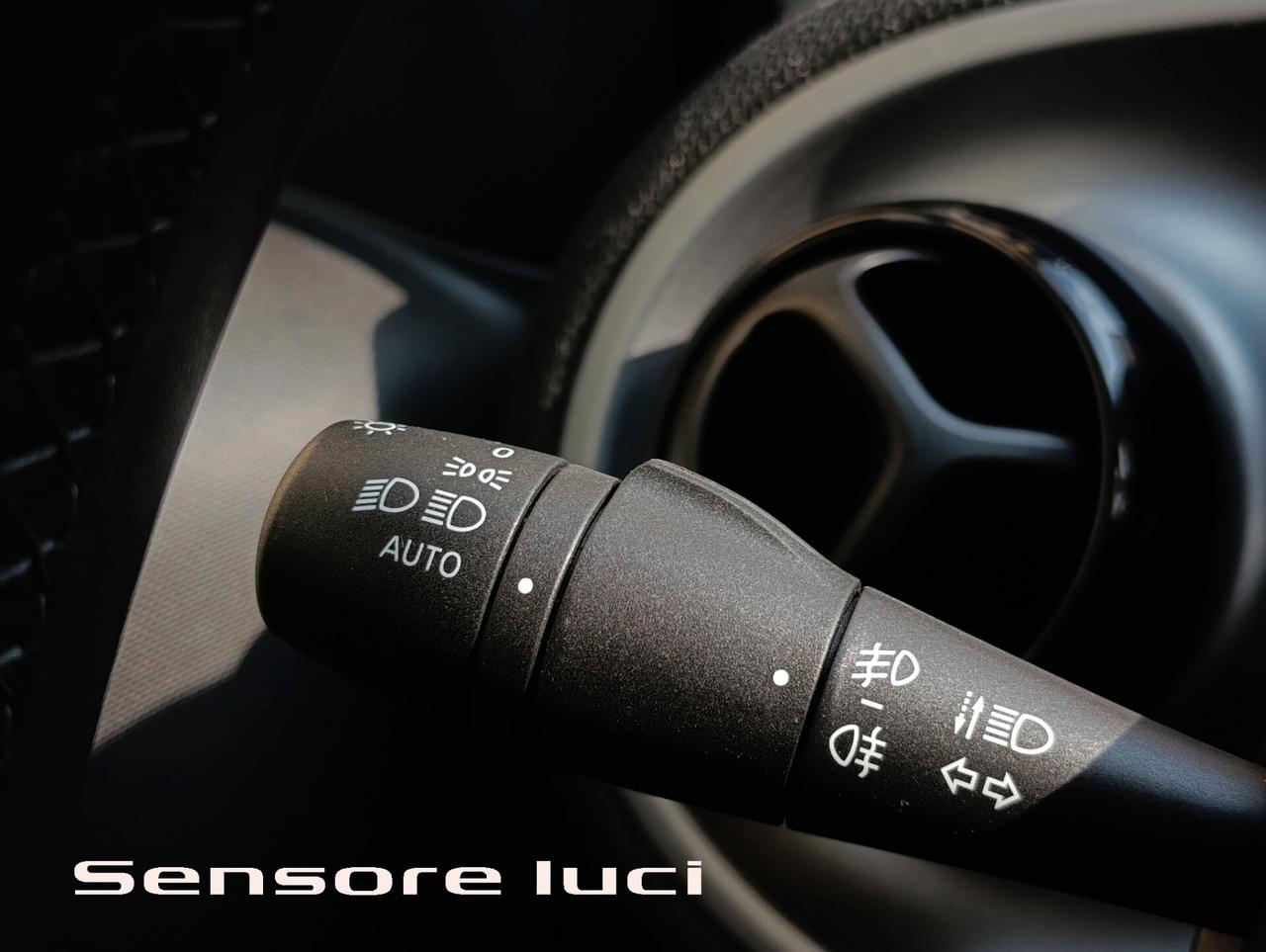 Smart ForTwo 90 0.9 T twinamic cabrio Passion Pack sport