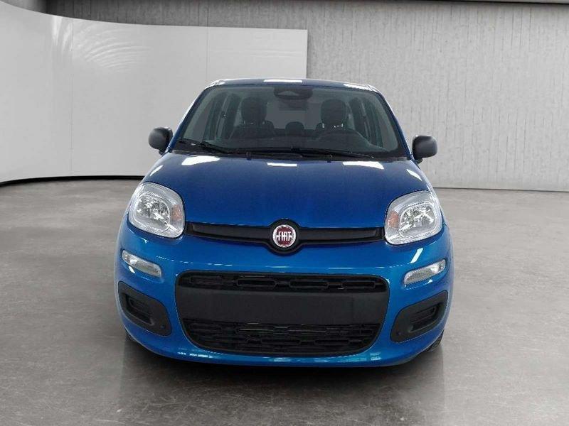 FIAT Pandina 1.0 firefly hybrid Icon s&s 70cv 5p.ti