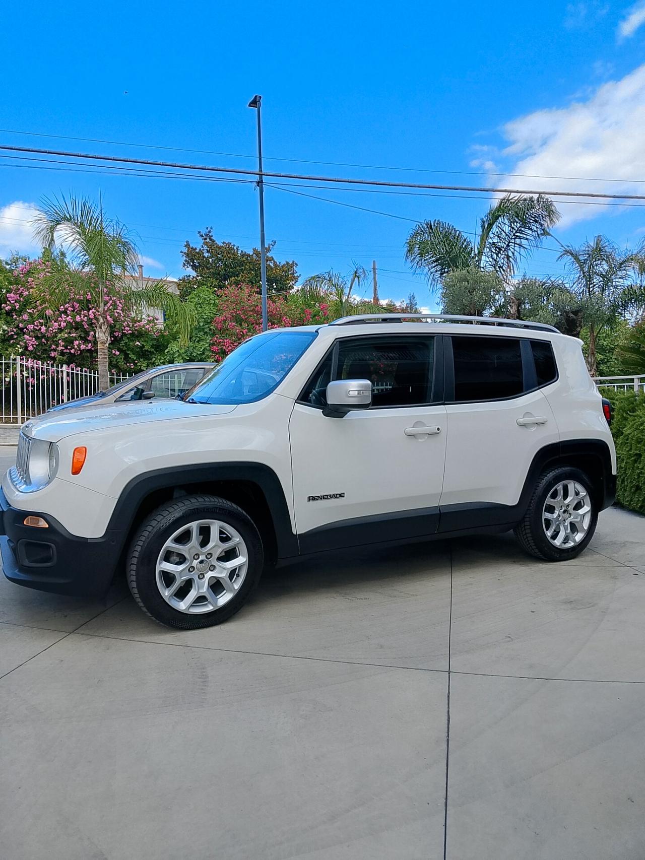 Jeep Renegade 1.6 Mjt 120 CV Longitude