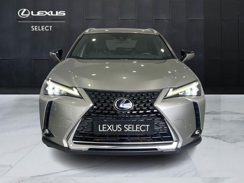 Lexus UX Hybrid Luxury