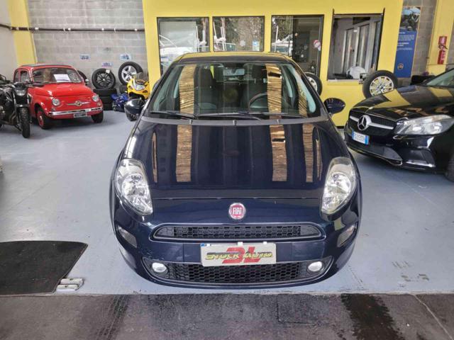 FIAT Punto 1.2 8V 5 porte Street NEOPATENTATI