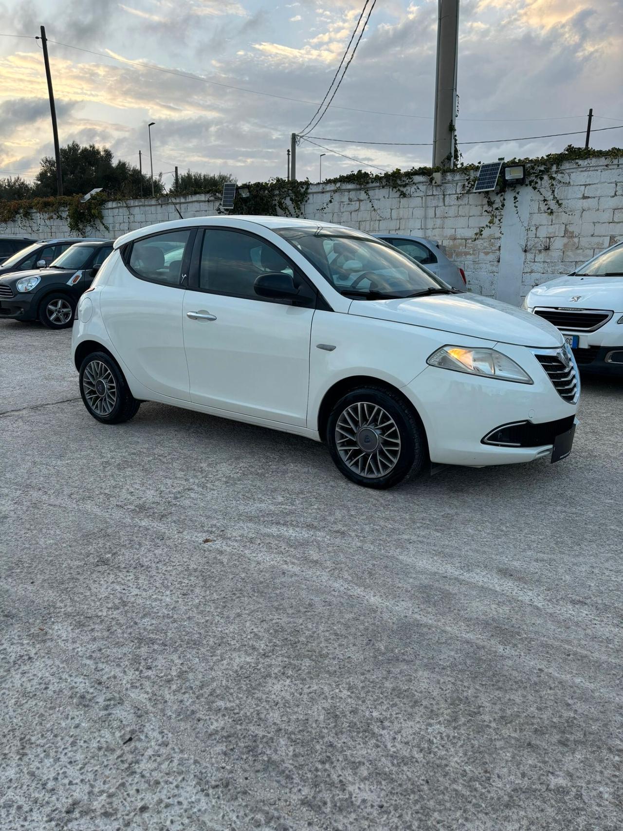 Lancia Ypsilon 1.3 MJT 16V 95 CV 5 porte S&S Platinum