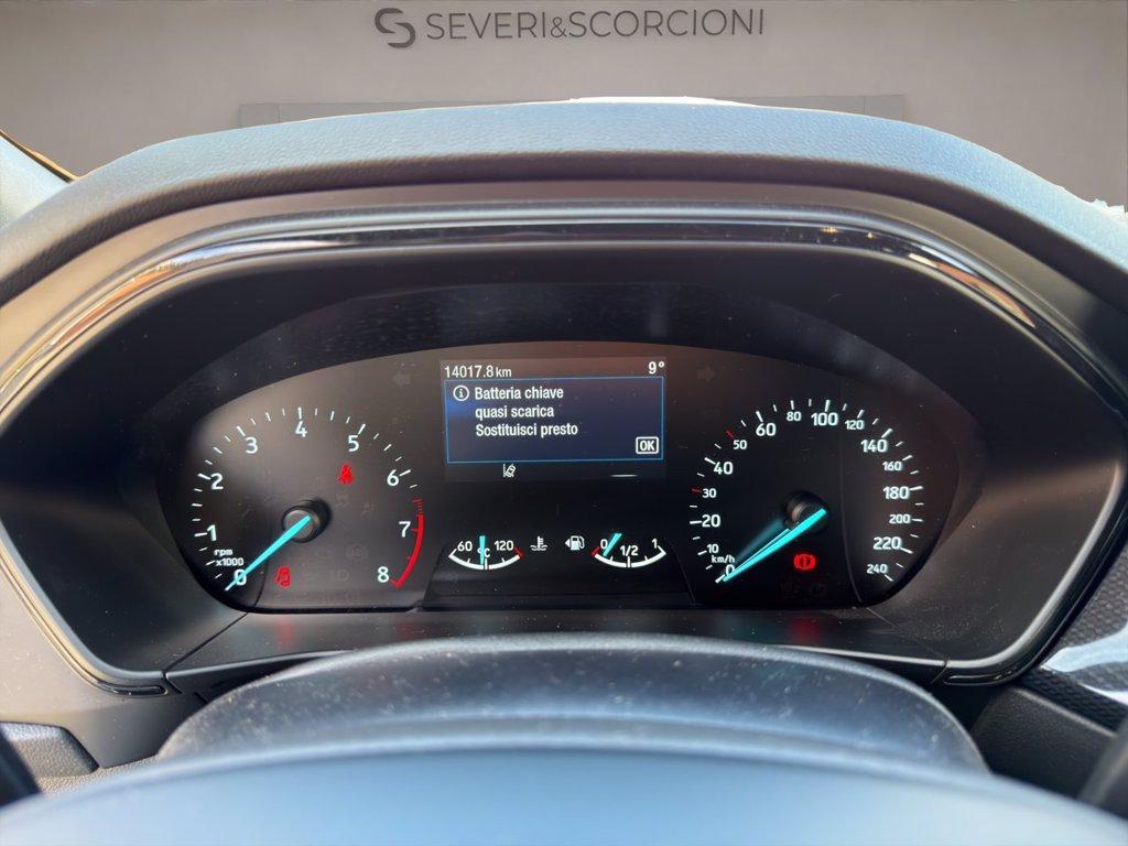 FORD Focus 1.0t ecoboost h ST-Line 125cv del 2024