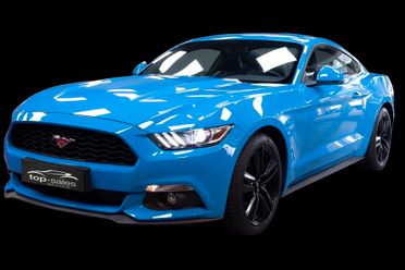 FORD MUSTANG COUPE PERFETTA CV 317