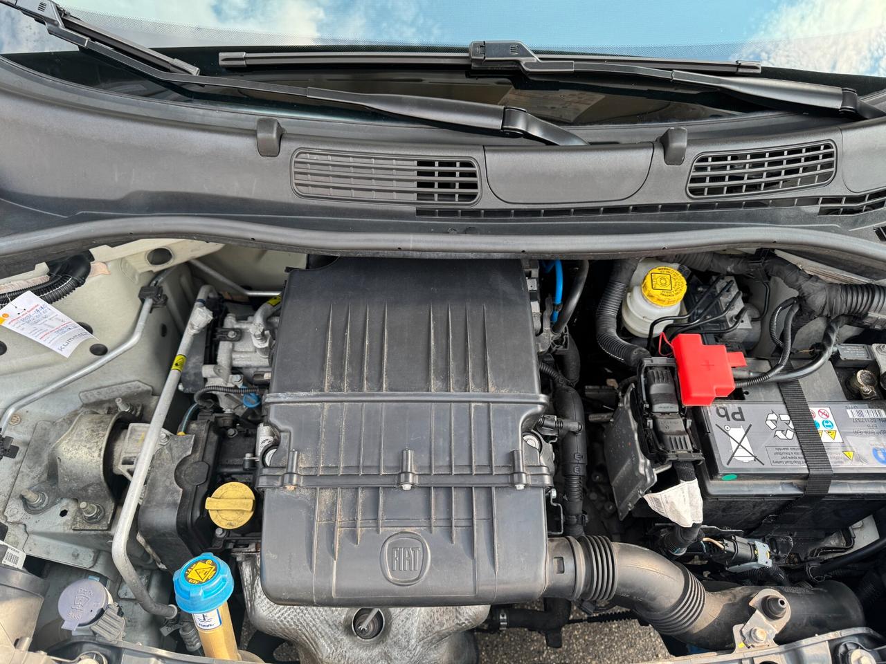 Fiat Panda 1.2 Easy neopatentato
