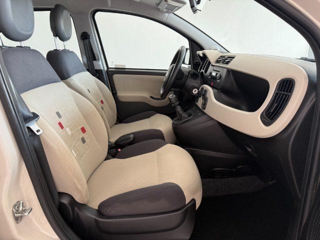 FIAT Panda 1.2 Pandazzurri