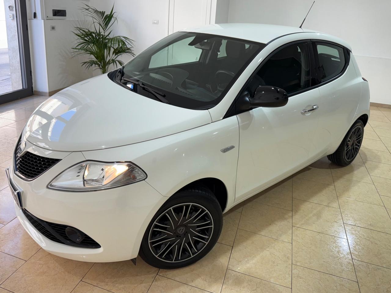 Lancia Ypsilon 1.2 69 CV 5 porte Gold