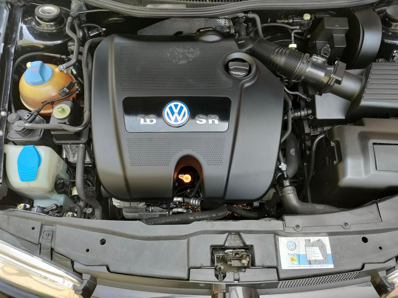 Volkswagen Golf 1.6 cat 5p. aut. Highline