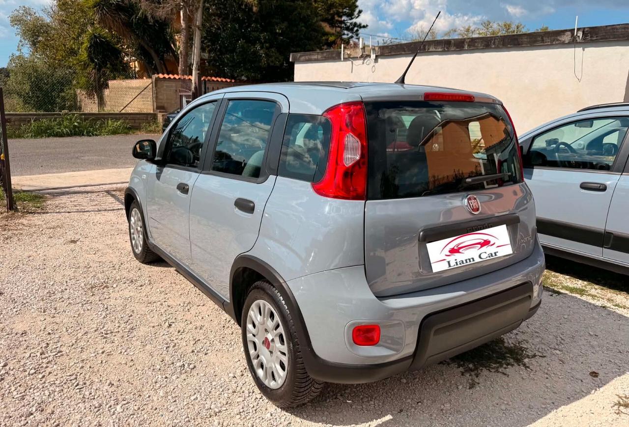Fiat Panda 1.0 Hybrid City Life Ok Neop. No Vinco.