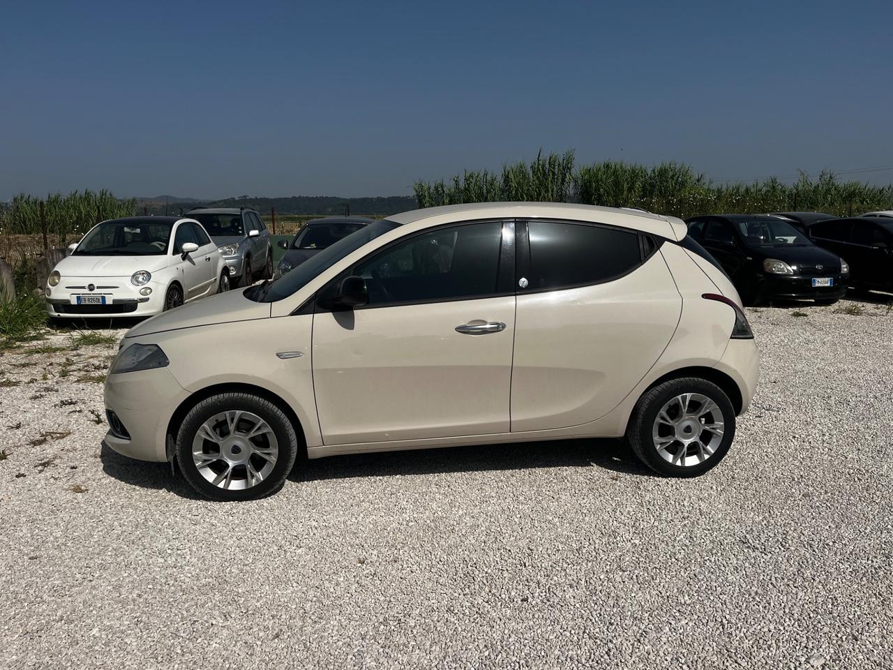 Lancia Ypsilon 1.3 MJT 16V 95 CV 5 porte S&S Gold