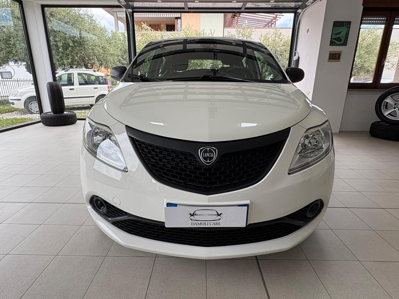 Lancia Ypsilon LANCIA YPSILON 1.2 69CV 5 PORTE - ELEFANTINO BLU