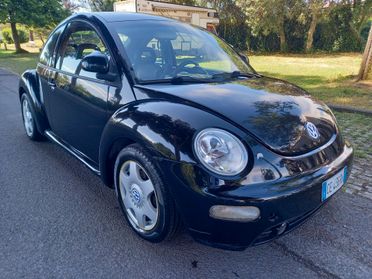 NEW BEETLE ISCRITTA ASI