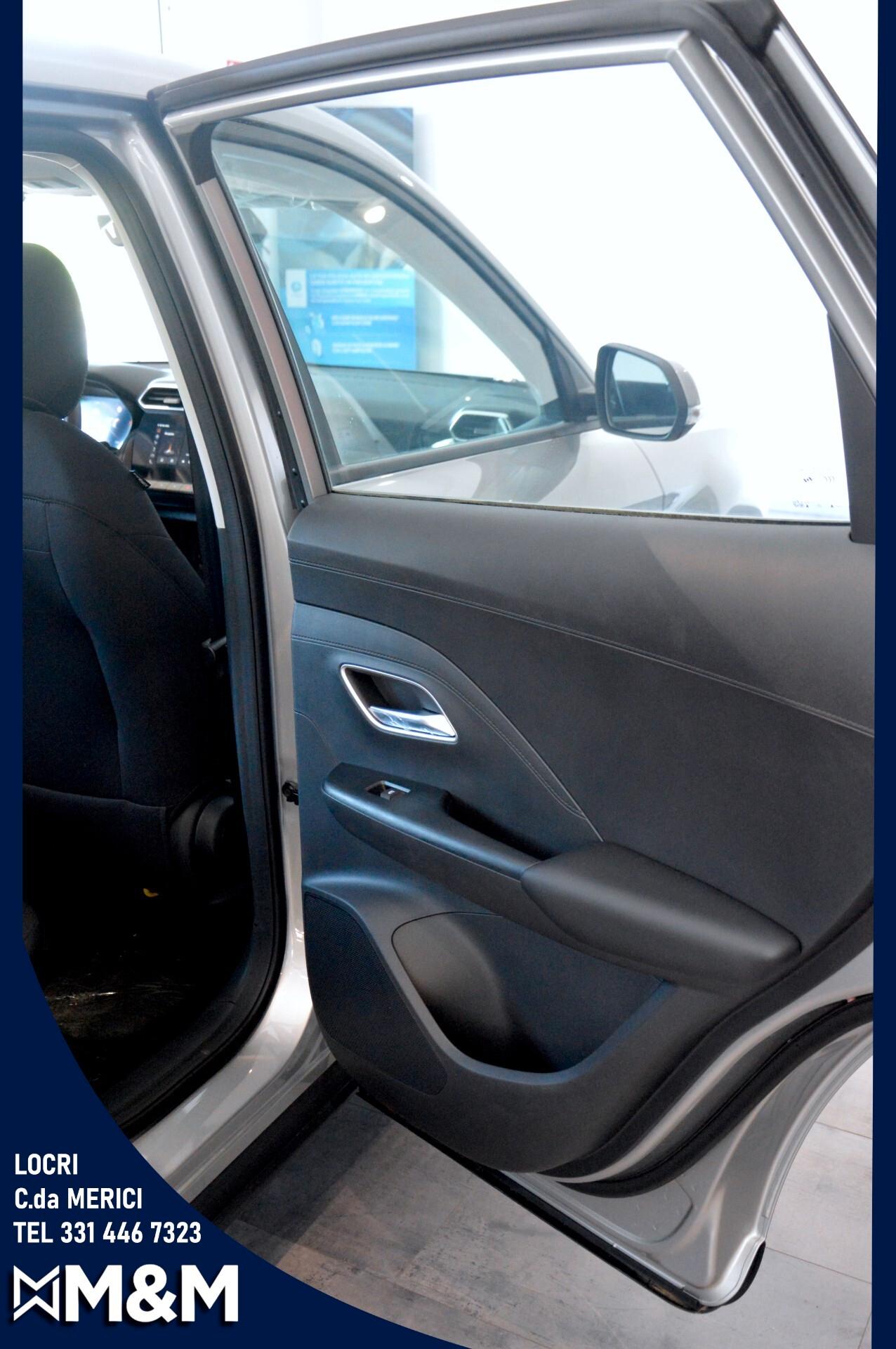 Mg ZS ICE STANDARD