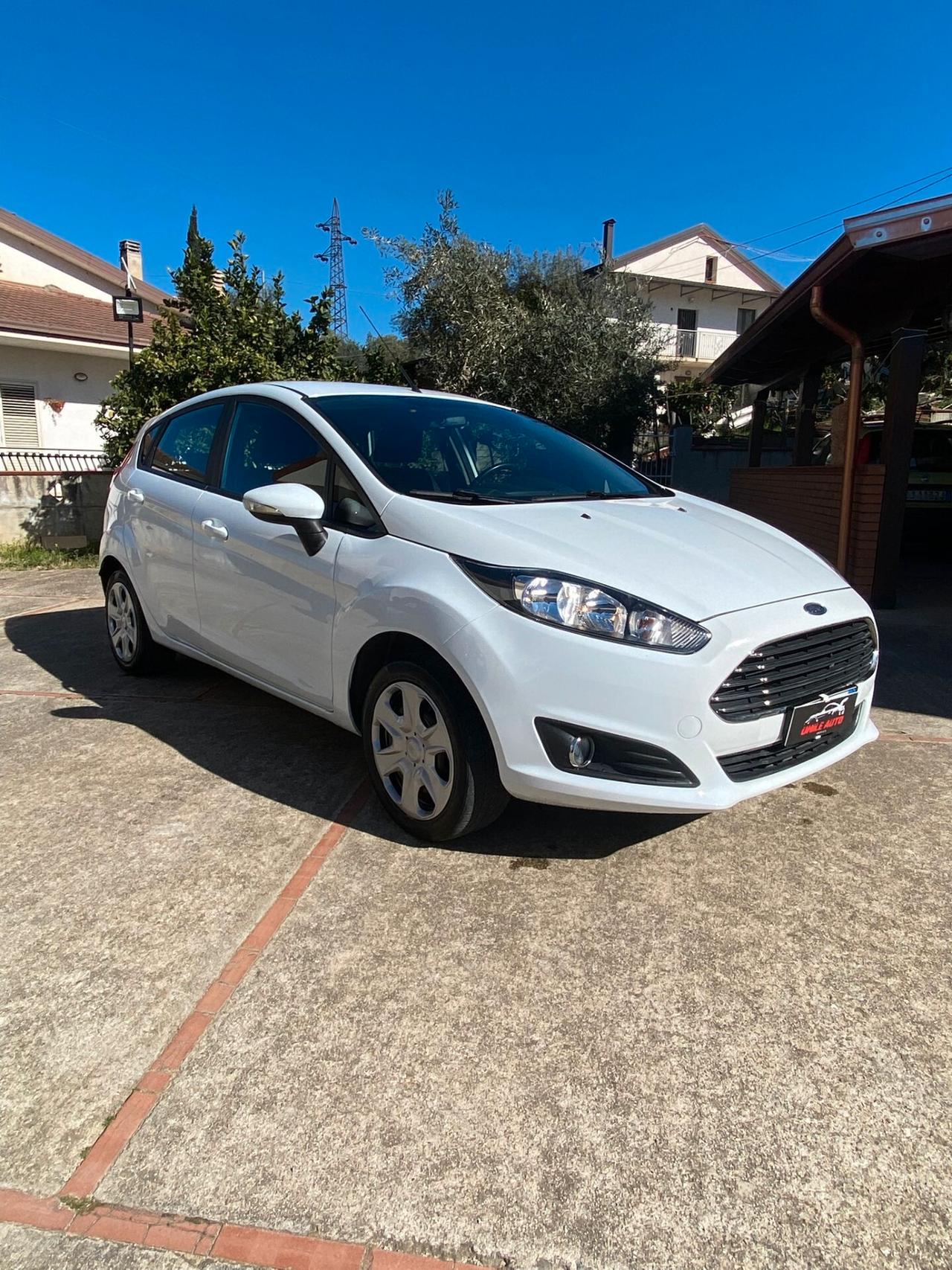 Ford Fiesta 1.5 TDCi 75CV 5 porte Titanium