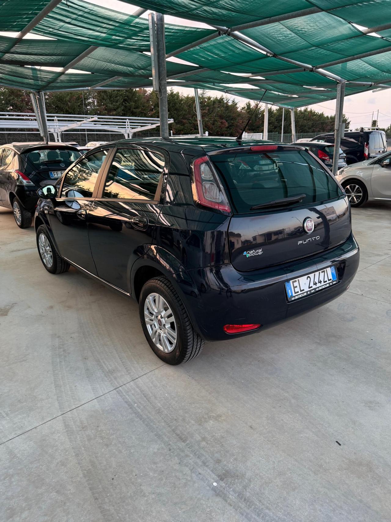 Fiat Punto 1.4 8V 5 porte Natural Power Pop