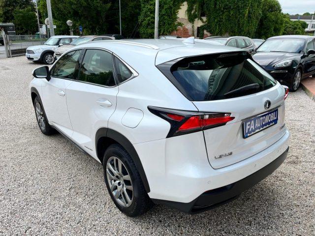 LEXUS NX 300 Hybrid 4WD EXECUTIVE