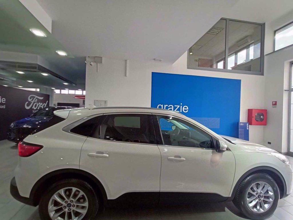 FORD Kuga 1.5 EcoBlue 120 CV 2WD Titanium Business del 2020