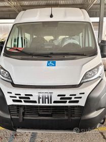 Fiat Ducato - Trasporto Disabili - Km0