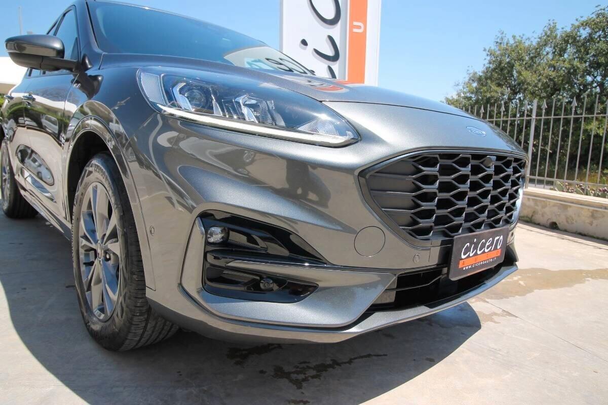 Ford Kuga 1.5 EcoBlue 120 CV auto ST-Line |2022