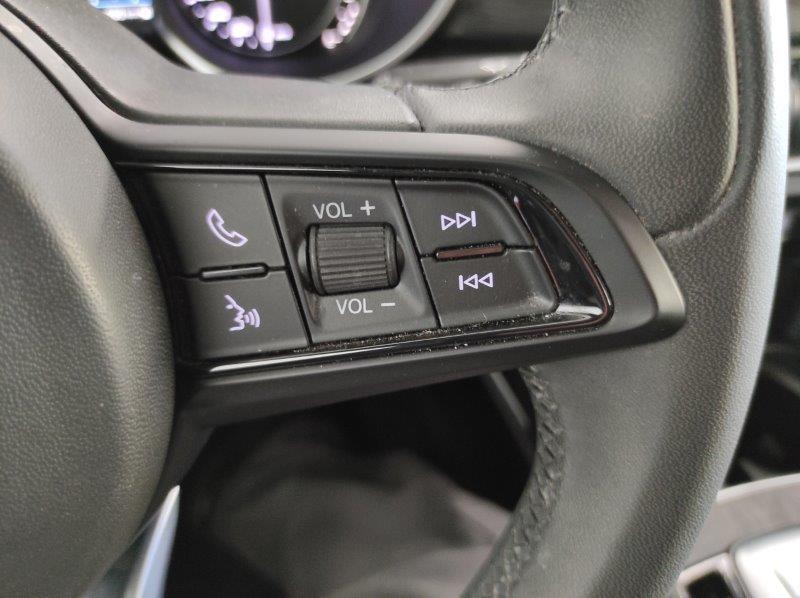 ALFA ROMEO Stelvio - Stelvio 2.2 Turbodiesel 190 CV AT8 Q4 Business