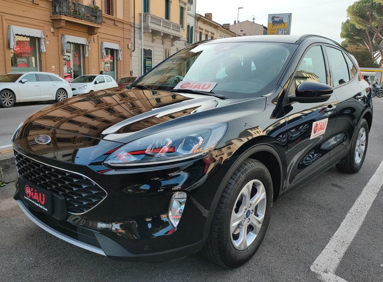 Ford Kuga 1.5 EcoBlue 120CV Connect Neopatentati