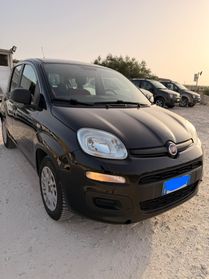 Fiat Panda 1.2 benzina anno 2016