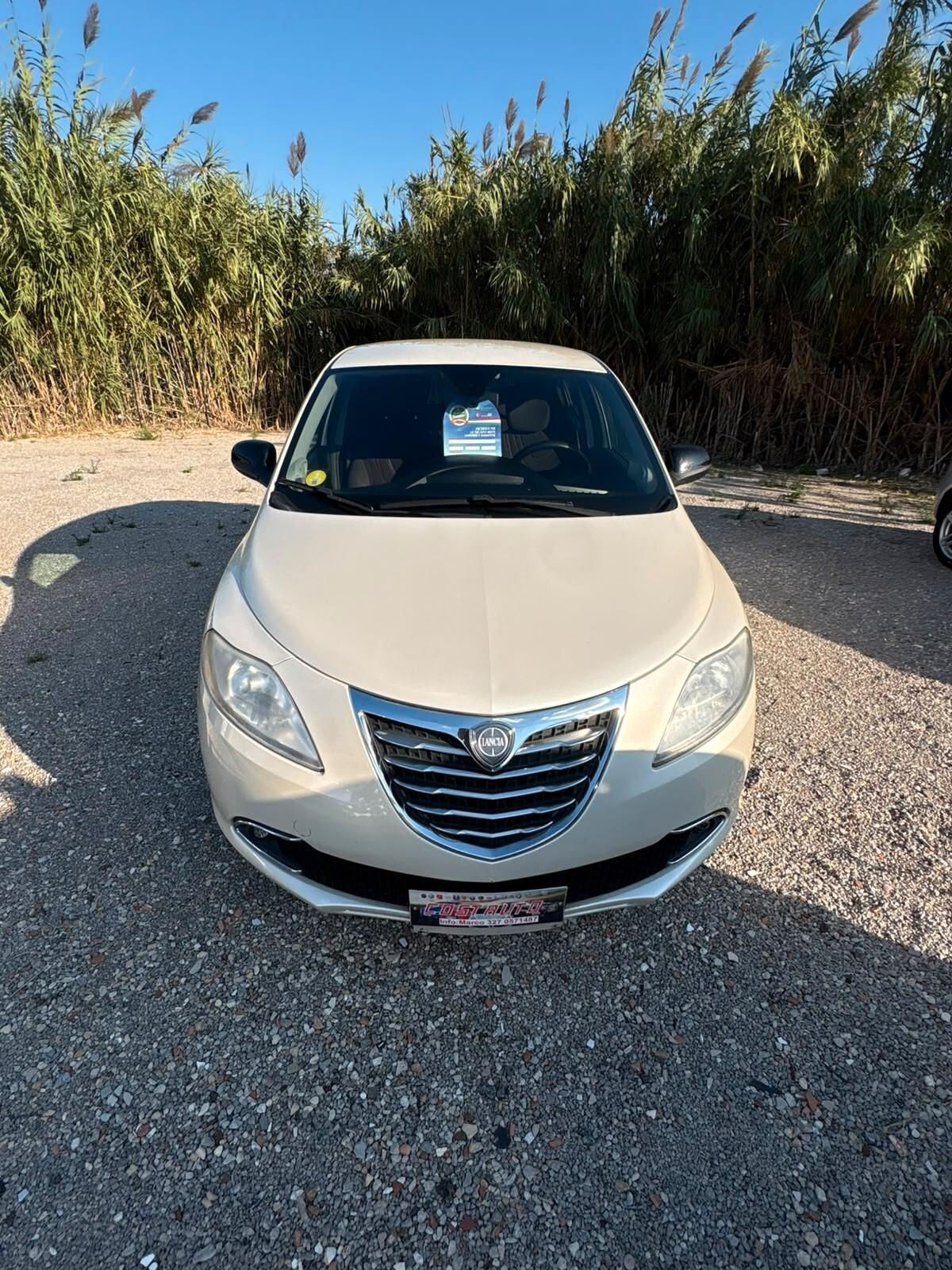 Lancia Ypsilon 1.3 MJT 16V 95 CV 5 porte S&S Silver