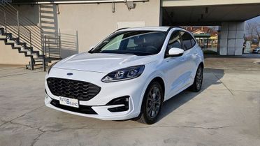 Ford Kuga 2.0 EcoBlue 120 CV aut. 2WD ST-Line