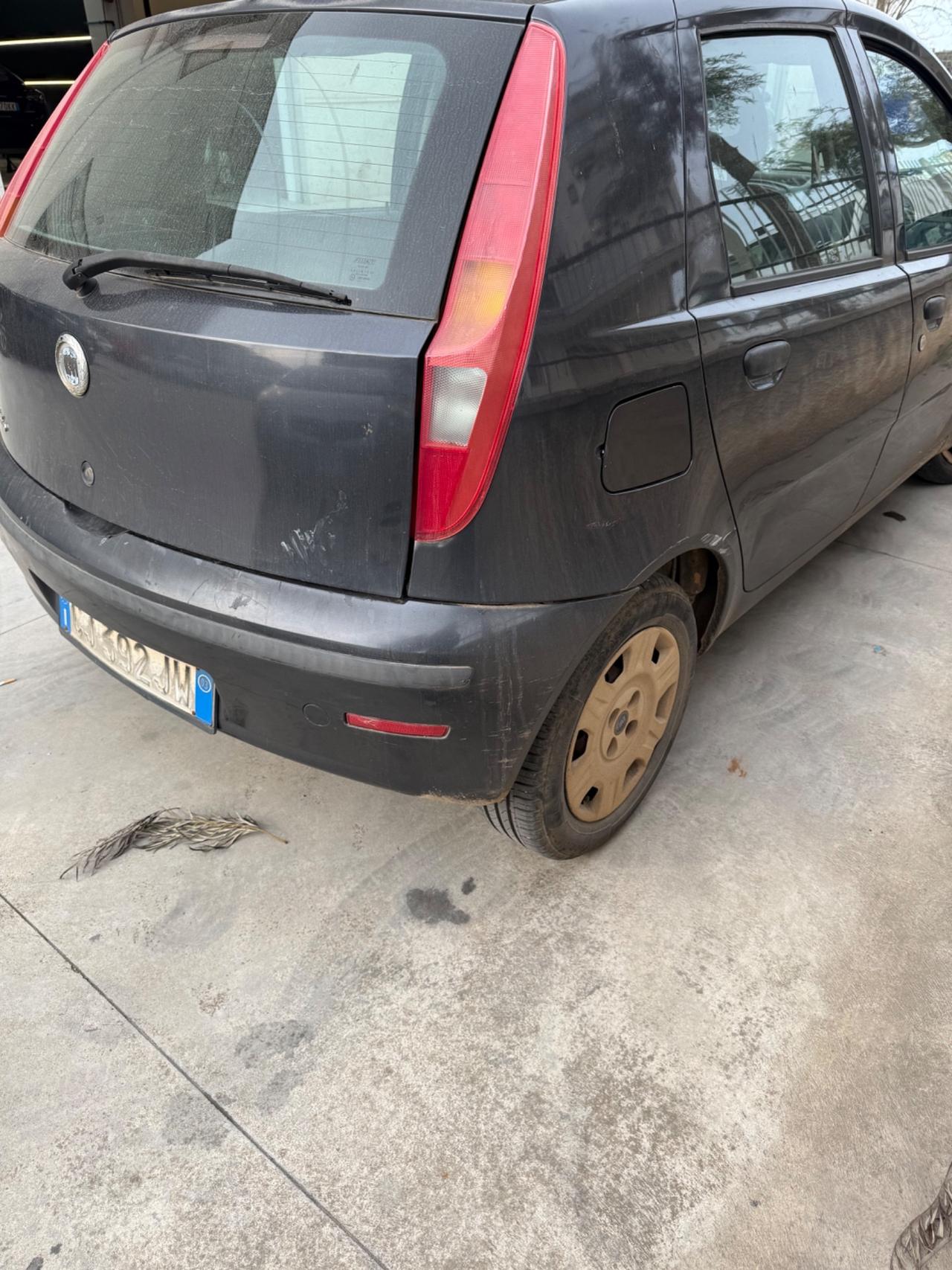 Fiat Punto 1.2 5 porte Active