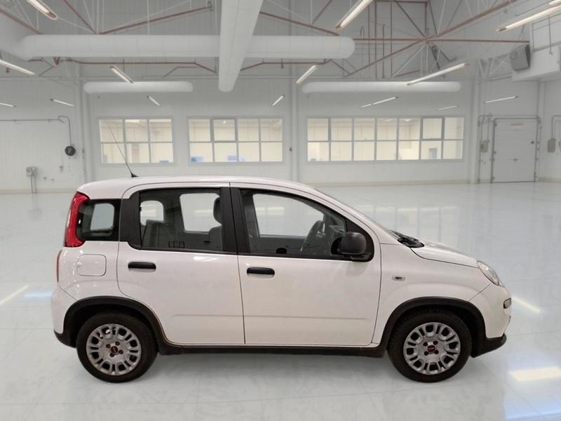 FIAT PANDA 1.0 FIREFLY 70 CV SES HYBRID 5 PORTE BERLINA