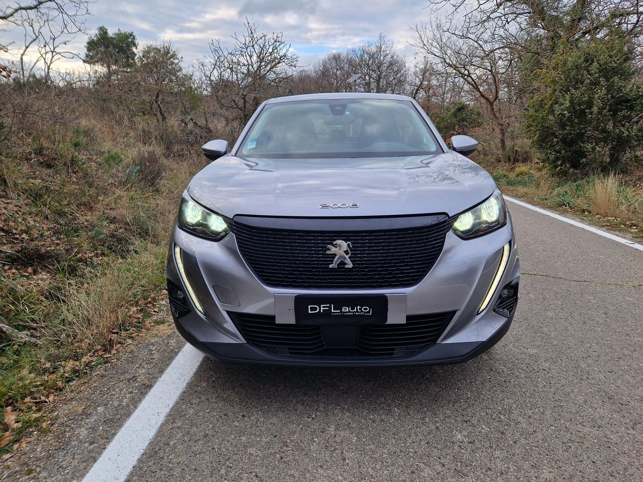 Peugeot 2008 BlueHDi 110 S&S ACTIVE