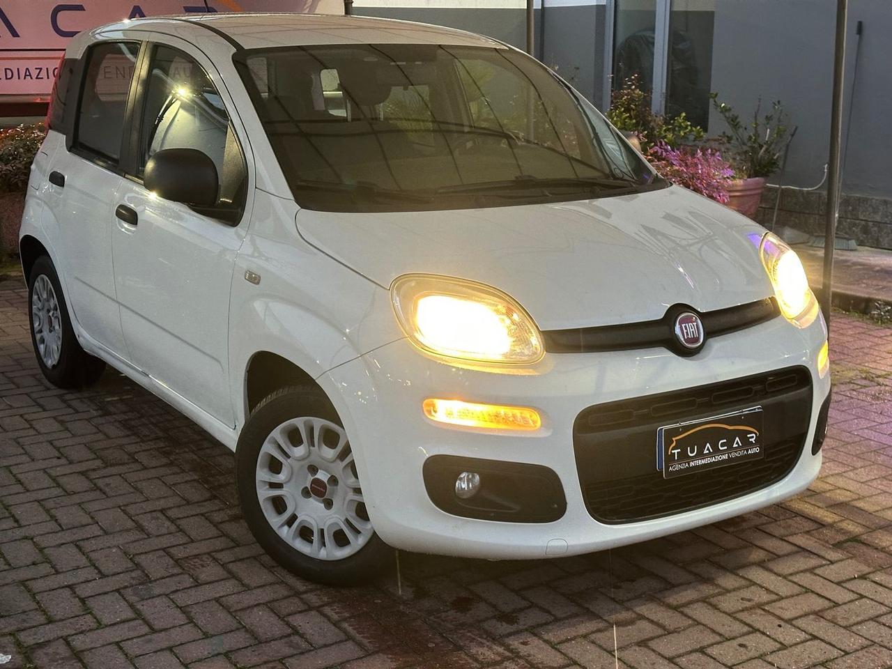 Fiat Panda Easy 1.2 #8913