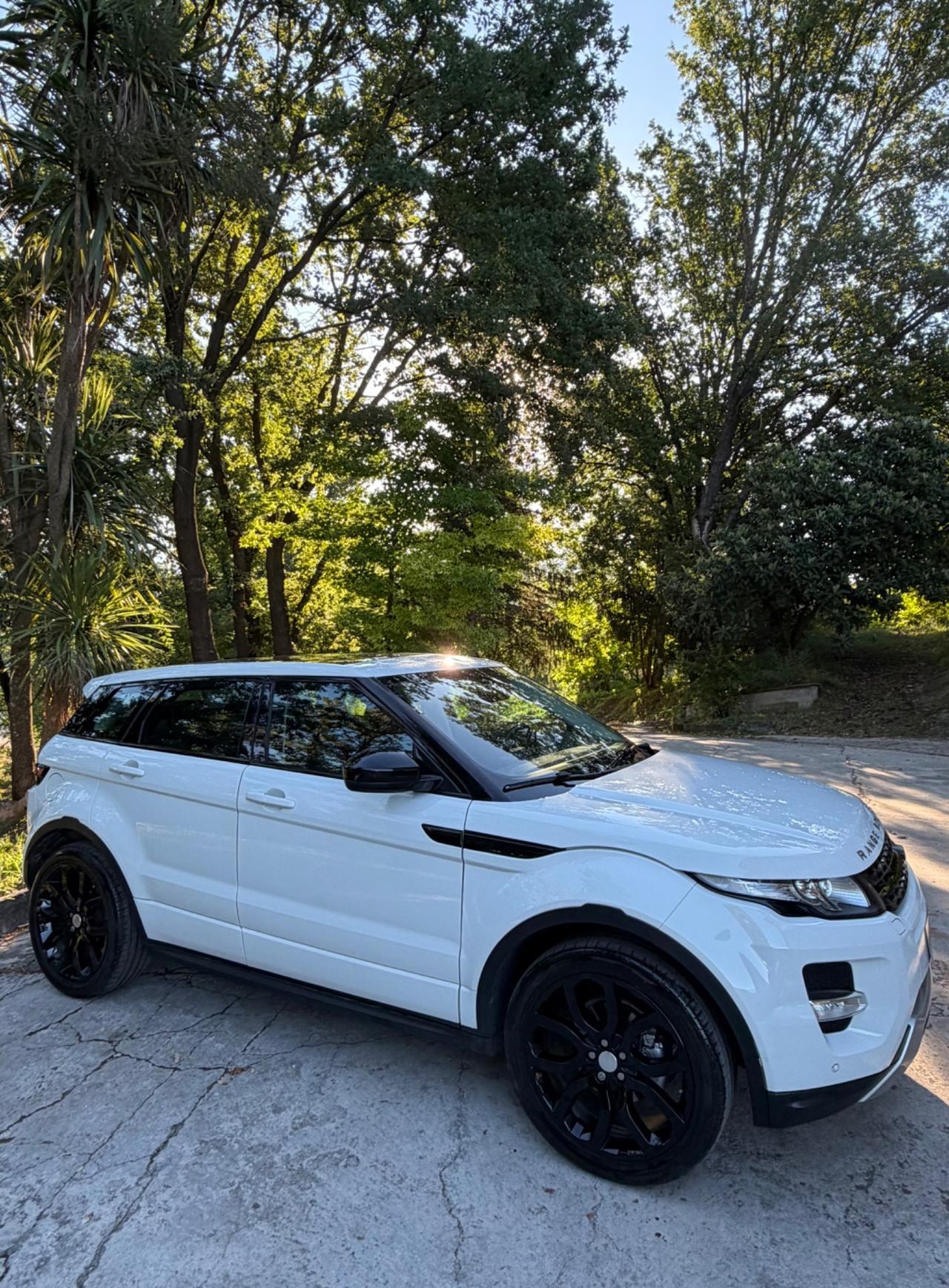 Land Rover Range Evoque 2.2 Dynamic LIMITED UNIPROPRIETARIO
