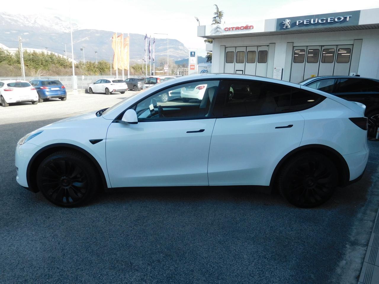 Tesla Model Y Long Range AWD - IVA ESPOSTA