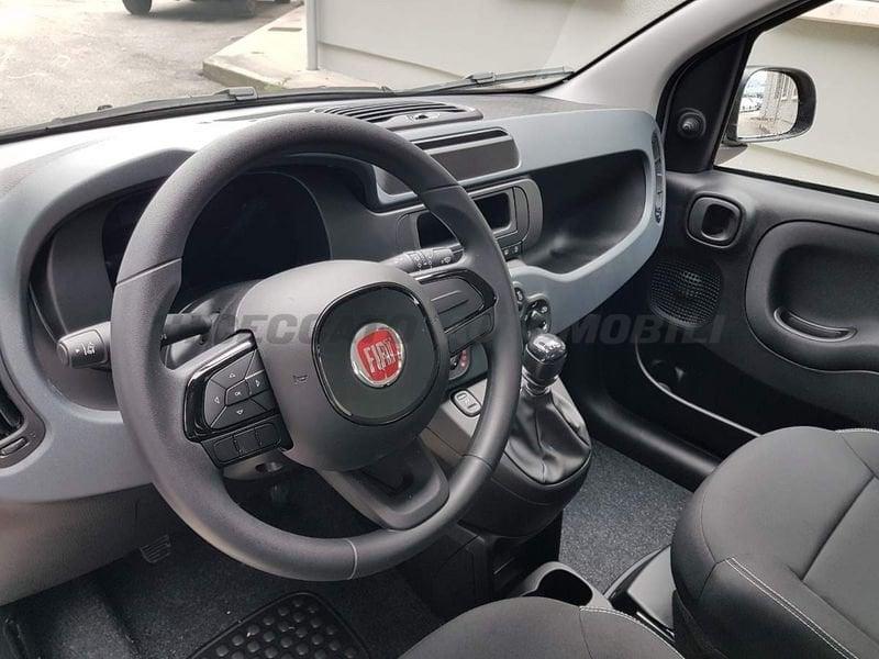 FIAT Panda Panda 1.0 firefly hybrid s&s 70cv