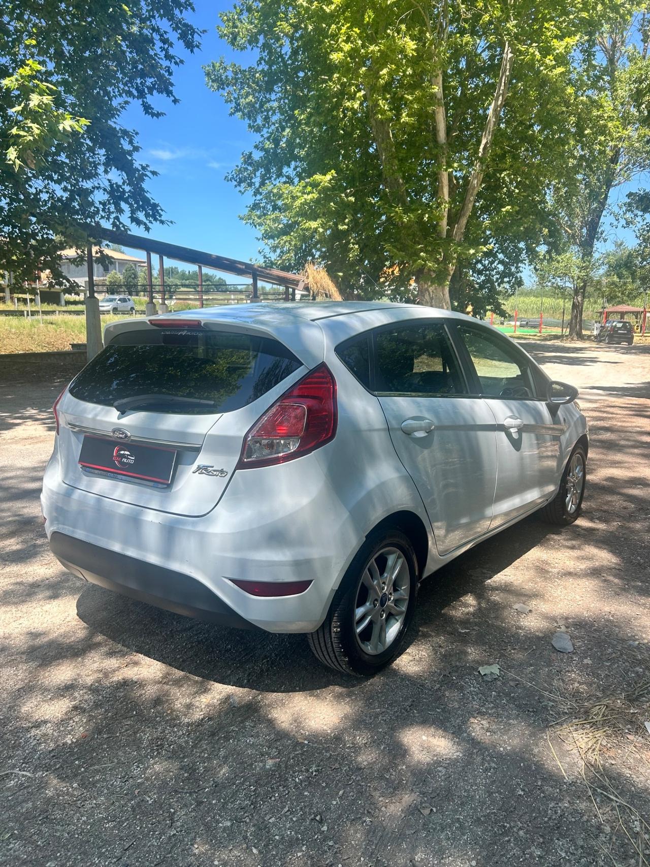 Ford Fiesta 1.4 5 porte Bz.- GPL Black & White Edition