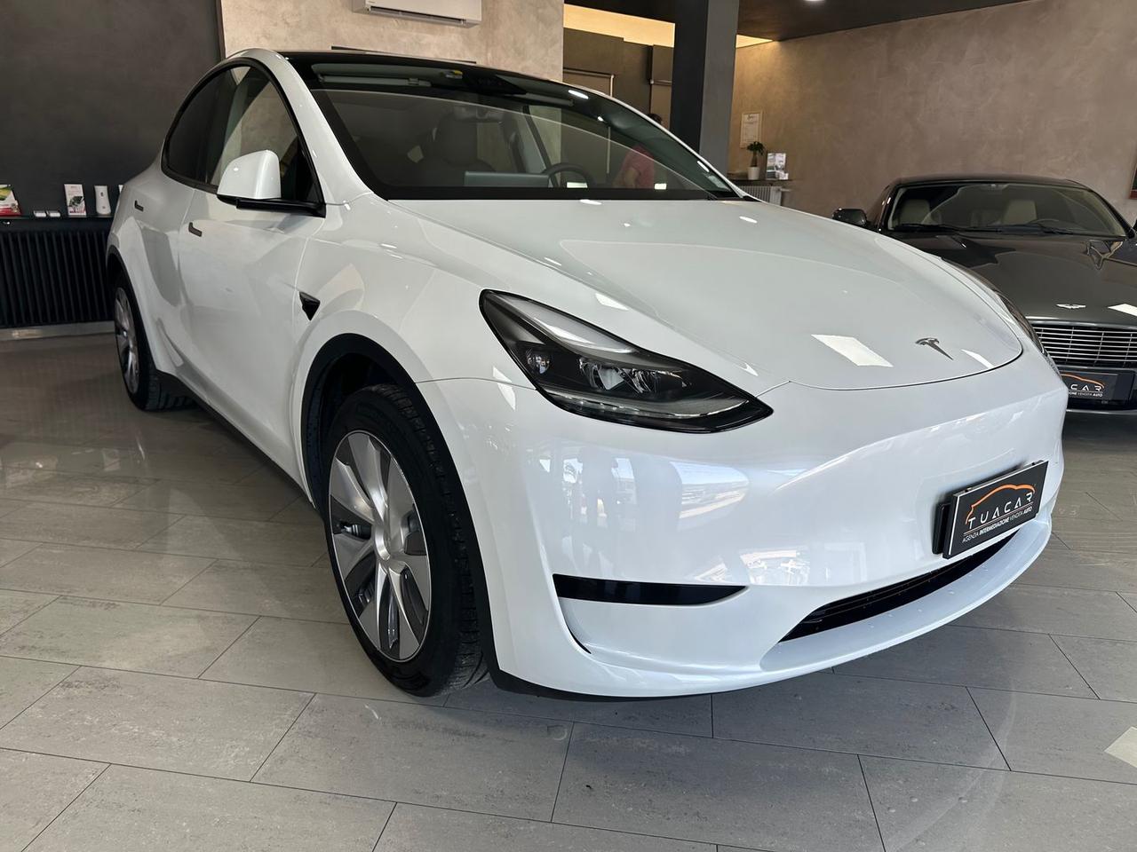 Tesla Model Y Standard Range RWD single moto #6584