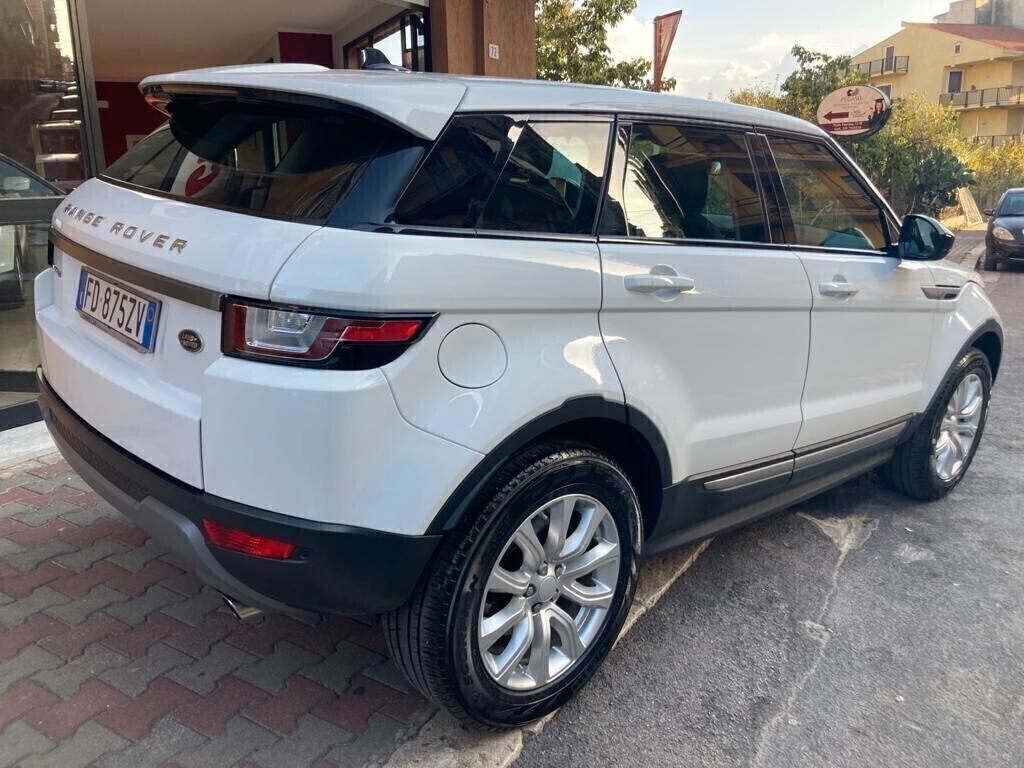 Range Rover Evoque 2.0 TD4 150 CV 5p. Business Edition Pure