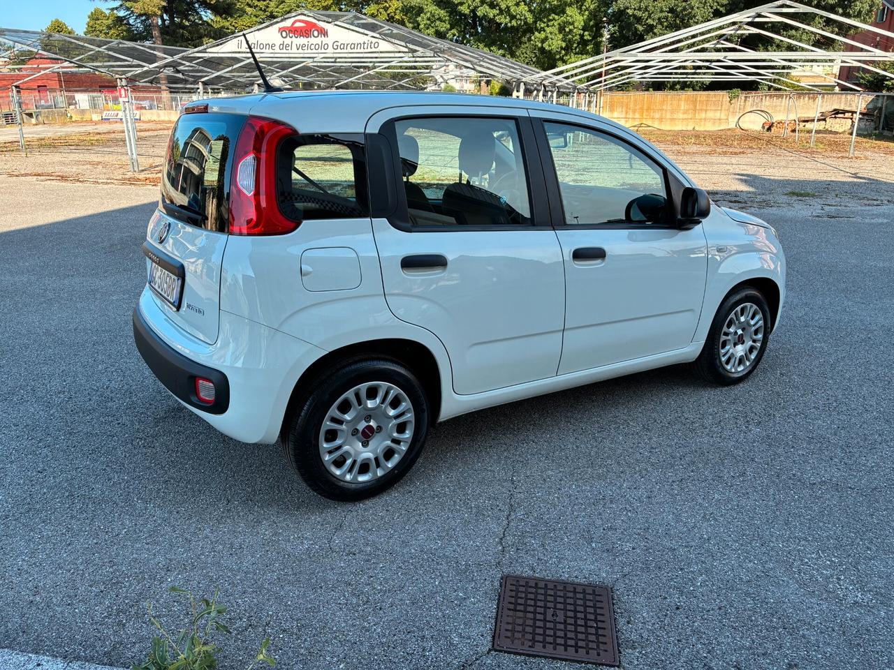 Fiat Panda 1.0 FireFly Hybrid Easy *PREZZO REALE*