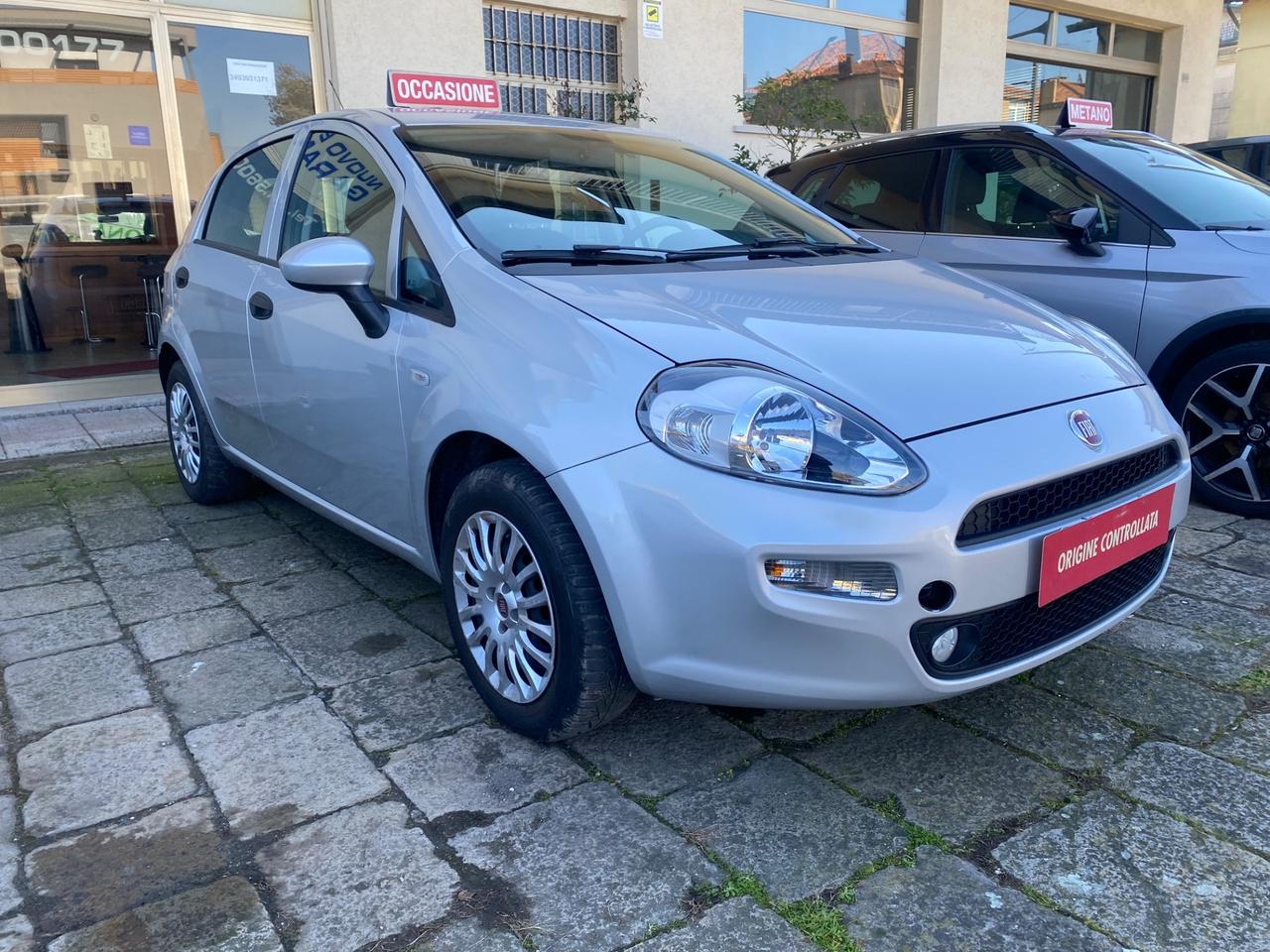 Fiat Punto 1.2 8V 5 porte Street