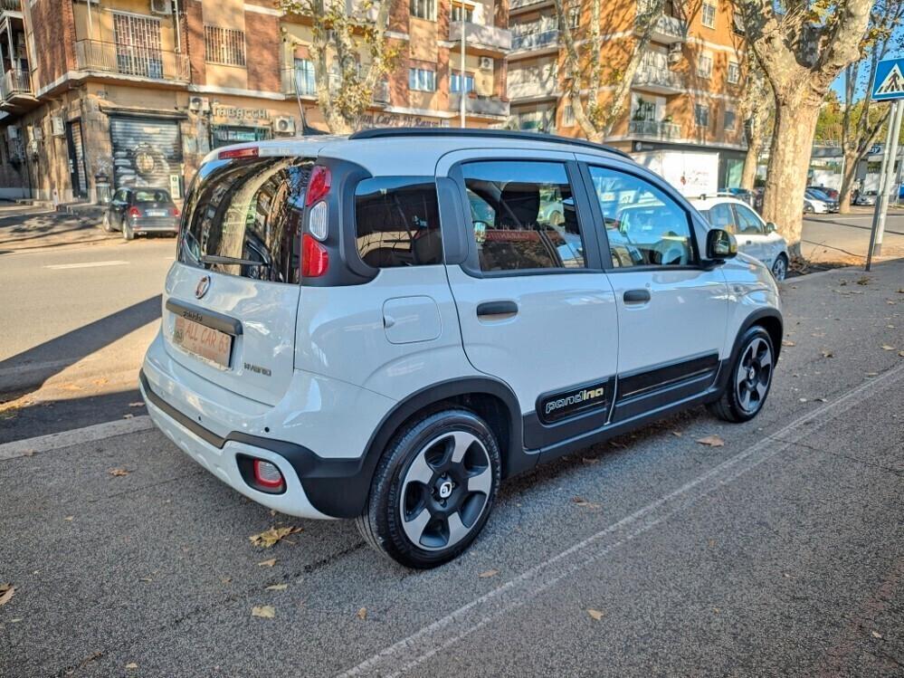 PANDINA 1.0 HYBRID CROSS SENZA VINCOLI FINANZ