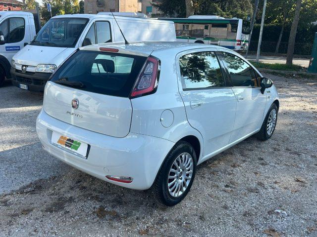 FIAT Punto 1.3 MJT II S&S 85 CV 5 porte ECO Young