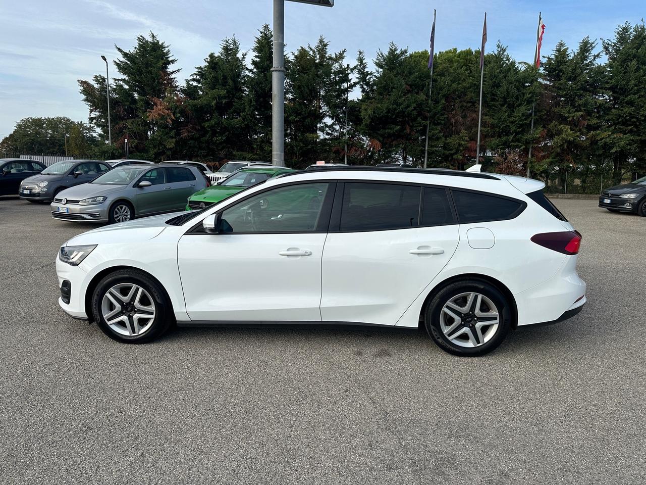 Ford Focus 1.5 EcoBlue 120 CV SW Business (GRANDINATA)