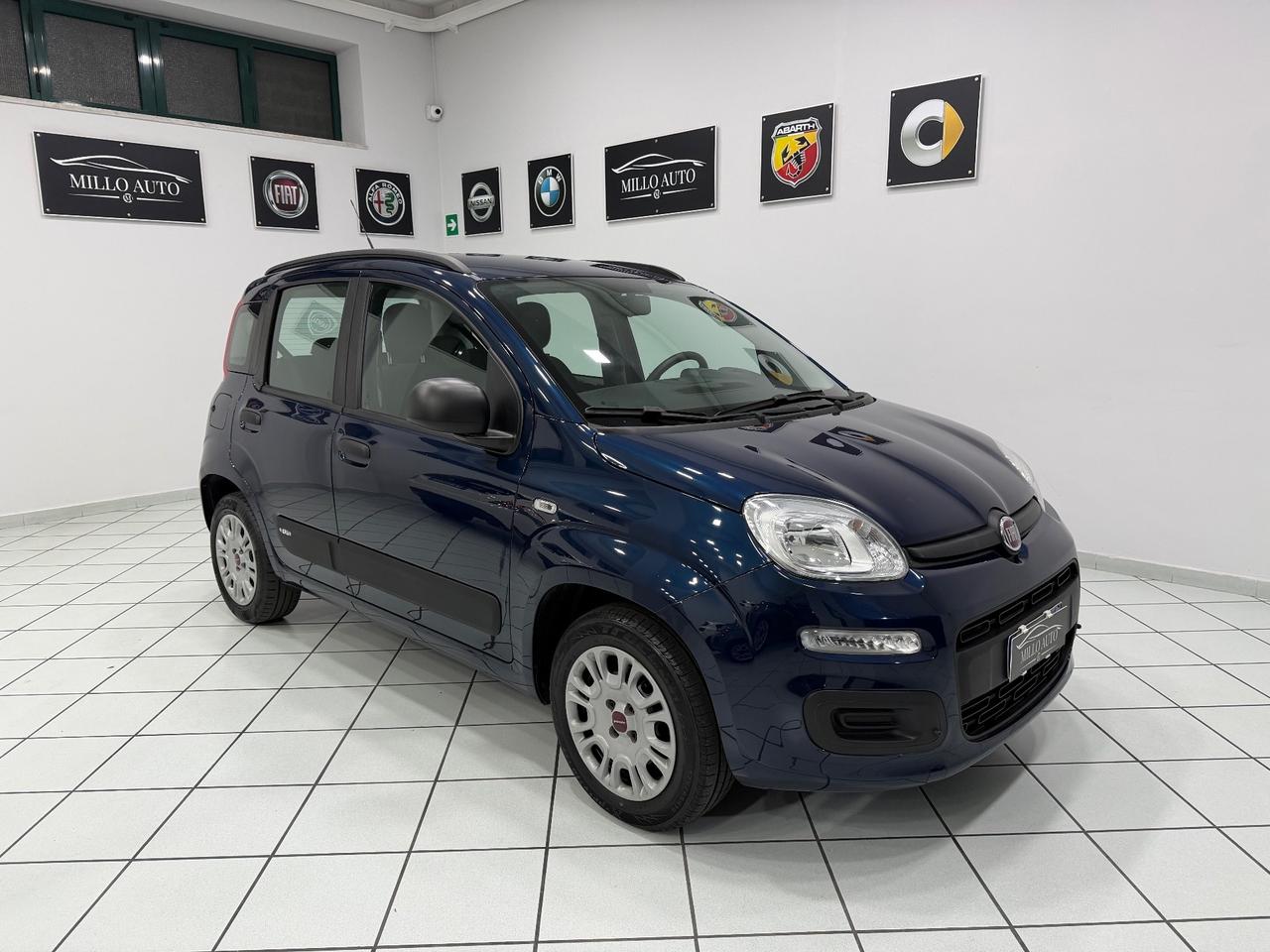 Fiat Panda 1.2cc 69cv Lounge UNICO PROPRIETARIO