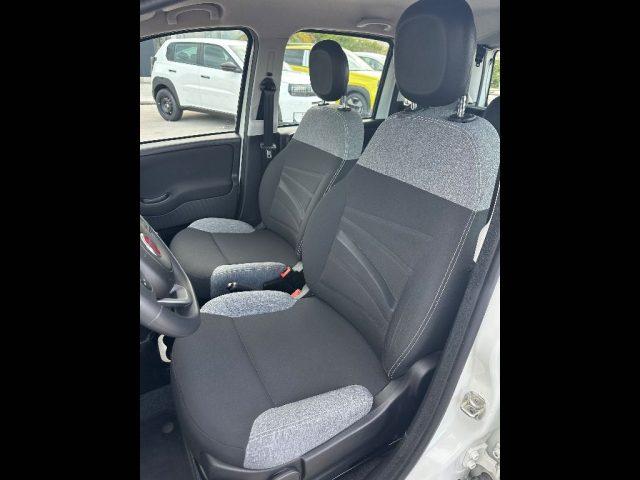 FIAT Panda 3ª serie - 1.0 FireFly S&S Hybrid City Life