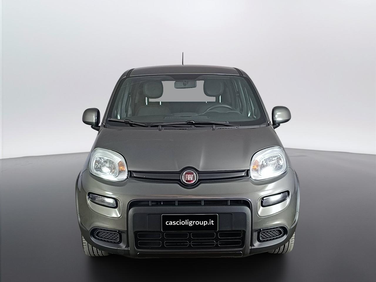 FIAT Panda III 2021 - Panda 1.2 easypower Sport Gpl s&s 69cv